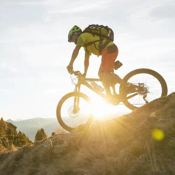 best bicycle shop online