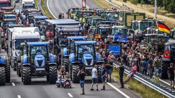 De Stikstofcrisis in Nederland: Impact op het Milieu en de Samenleving