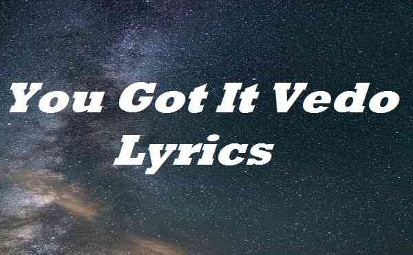You Got It 🎶. #lyrics #yougotit #vedo #lyricsvideo #music #