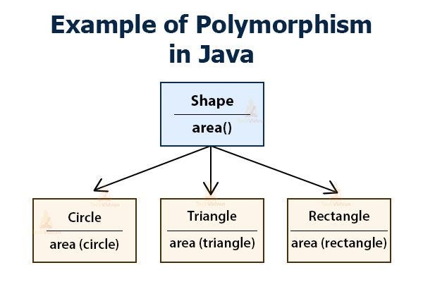 JAVA SE(OOP) — Bölüm-10. POLYMORPHISM | by Orhan Türkmenoğlu | Medium