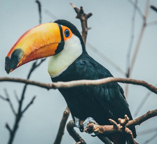 Why Lighting is Important in Photography by Vinitha Selvaraj Medium