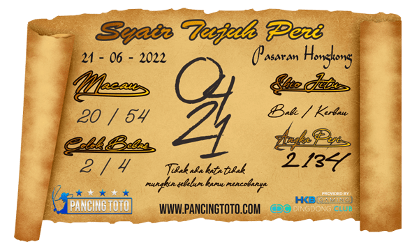 SYAIR HONGKONG - felicia - Medium