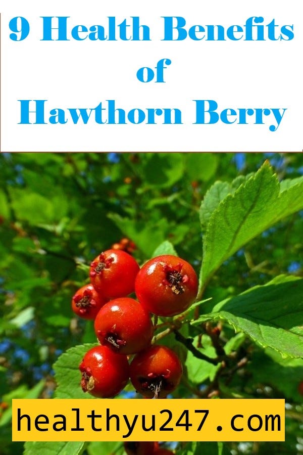 9 Impressive Health Benefits of Hawthorn Berry — Health & Fitness by