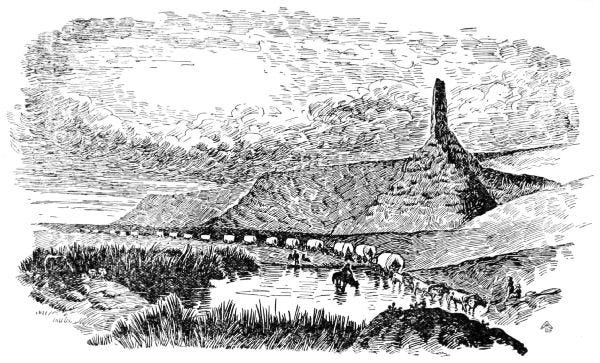 Wagon Trail at Chimney Rock, North Carolina