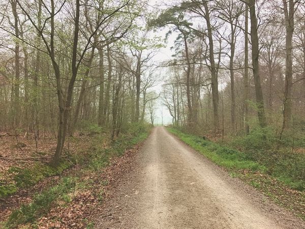 Fastenzeit: 7 Wochen ohne oder 7 Wochen Wald Tag 32 — Dank
