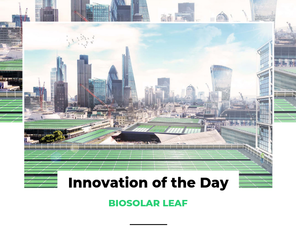 Innovation of the Day: BioSolar Leaf | by Jareth Ashbrook ...