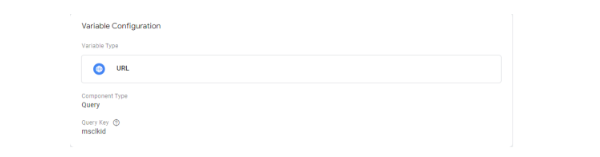 Google Tag Manager configuration.