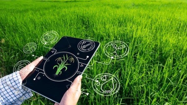 Seeds, Supply Chains, and Why Logistics Might Matter as Much as Genetics