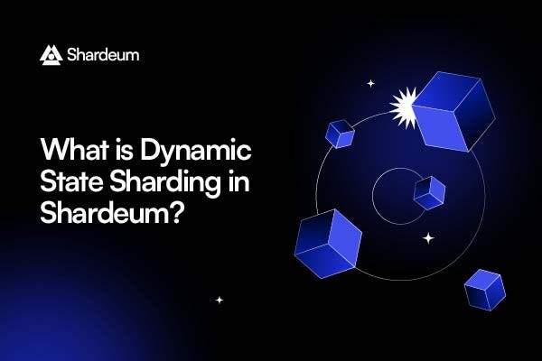 Was ist Dynamic State Sharding in Shardeum? | by Daniel Jobs | Medium