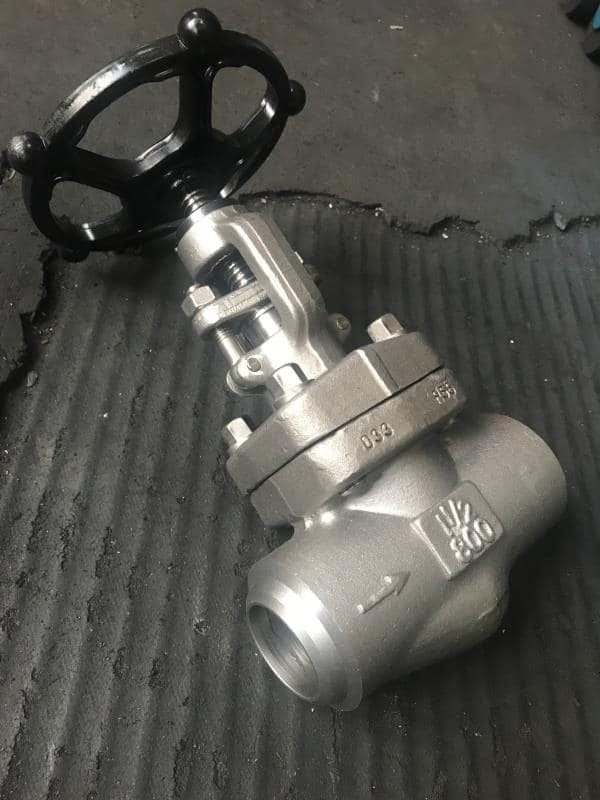 Check Valve Manufacturer in Germany by Valveonlyeurope Medium