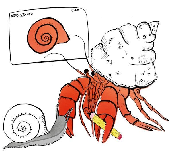 The Ultimate Guide to Online Whiteboard Interviews How to Use Them for