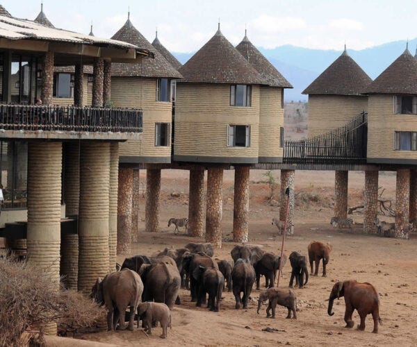 Discover the 11 Best Safari Parks and Game Reserves Near Mombasa