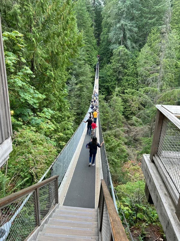 Exploring Stanley Park’s Serenity and Conquering Heights at the Capilano Suspension Bridge in