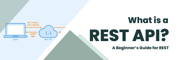 What is a REST API?. When applications need to communicate… | by Theoda ...