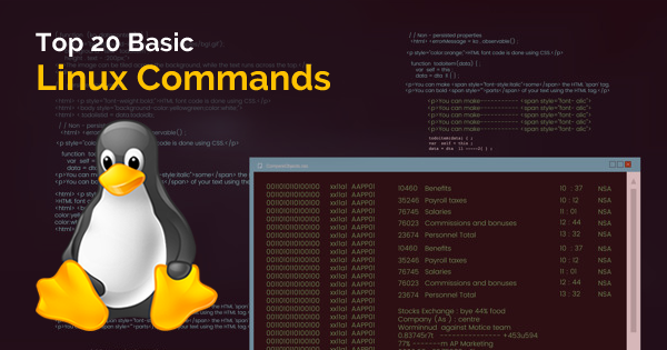 Command-Line Mastery: Top 20 Essential Linux Commands Every User Should ...