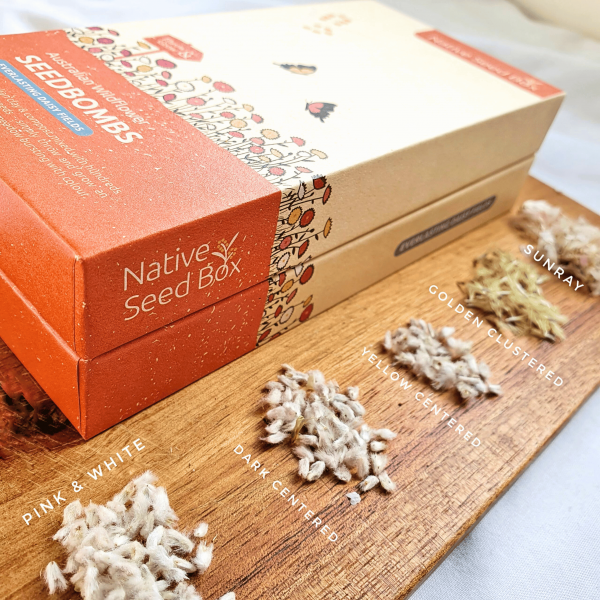 Native Seed Box for Sale: Create a Thriving Pollinator Garden with Plant Ark
