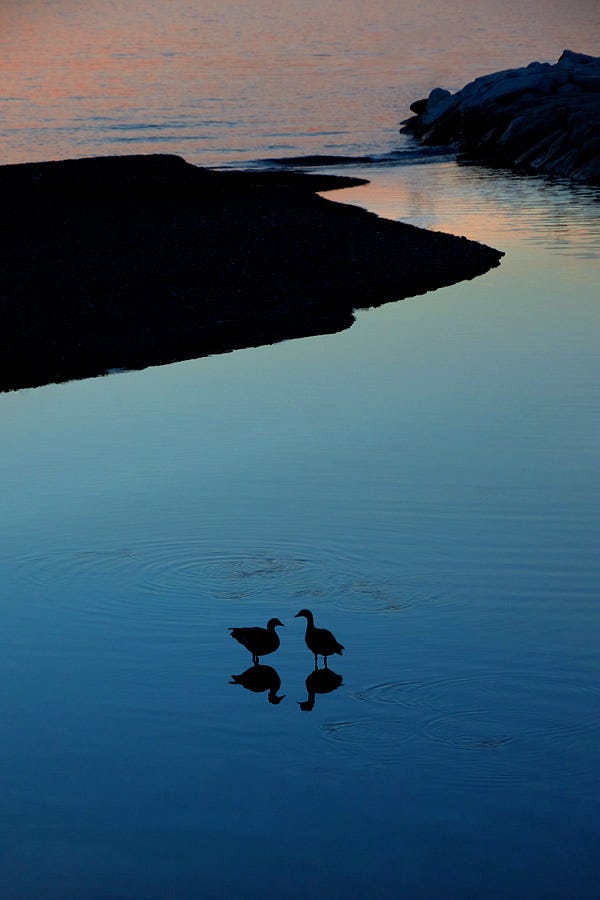 What Does Your Shadow Sound Like? | by ItsAlwaysRightNow | Medium
