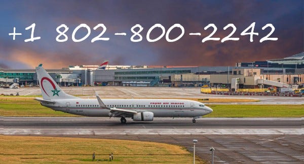 1 802–800–2242 | Comment voyager avec un animal de compagnie en suivant la  politique de Royal Air Maroc ? | by Steve Johnson | Medium