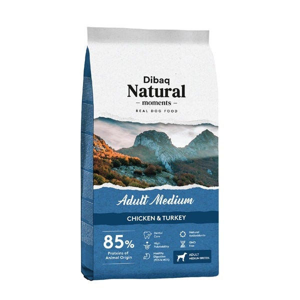 Healthiest dry dog clearance food