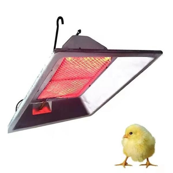 118mm infrared halogen heat Lamps for the chick hatching. Zhang Fiona Medium