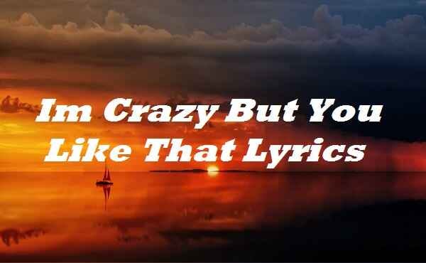 Im Crazy But You Like That Lyrics | by Kk Lyrics | Medium