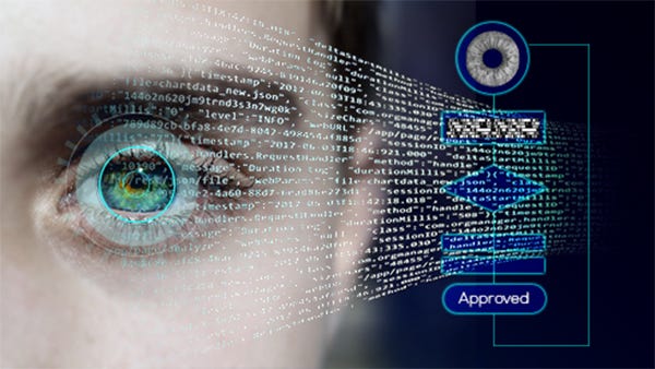 Clear Vision for a Safer World: The Benefits of Iris Recognition ...