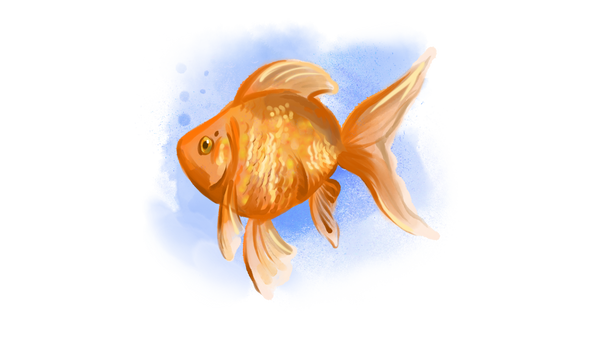 Draw a gold fish using Tools for Procreate!