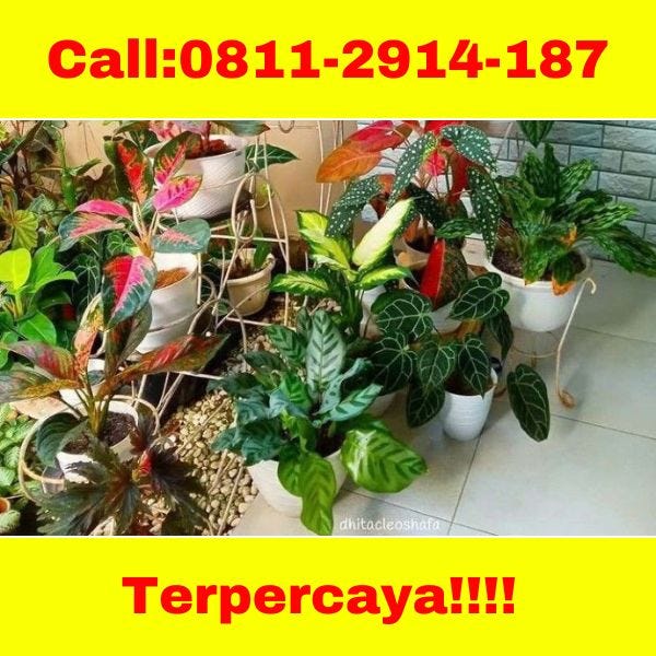 HARGA TERJANGKAU ! CALL! 0811-2914-187 Jasa Desain Taman Kering Batu