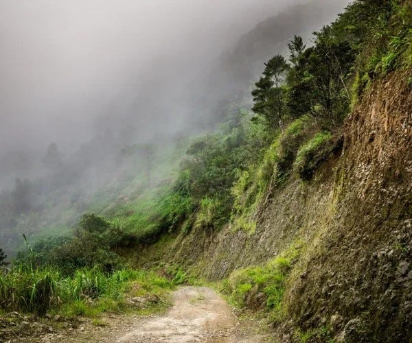 Five Days Between Coffee Hills and Royal Corridors: My Coorg & Mysore Journey with a Trusted Travel…