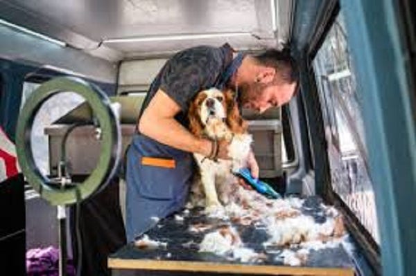View of ISO: dog groomer with weekend availability! | Facebook