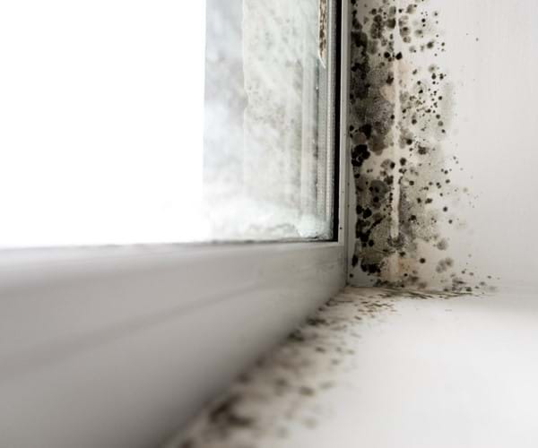 Unveiling the Secrets A Comprehensive Guide on How to Fix Damp Issues