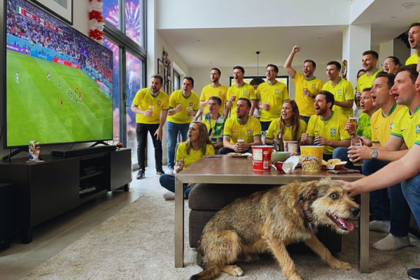 Por Que Alguns Pets Sofrem Tanto com Barulhos que Nós Nem Percebemos?