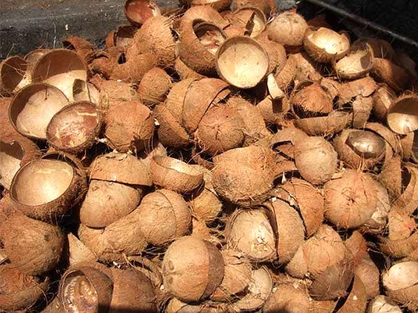 From Palm to Plate: The Science Behind Coconut Shell Charcoal, by Lizzie  Market