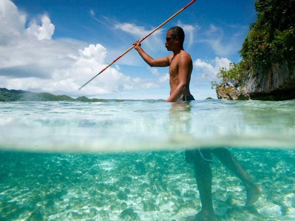 Spear Fishing. Traditional spear fishing is like…
