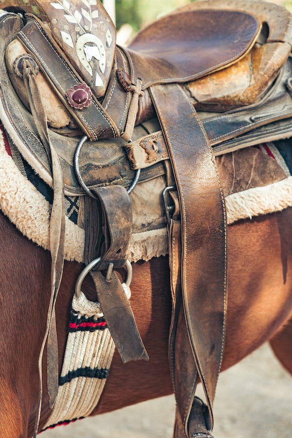 Guide to Buying Used Saddles in haflingersaddles by EMMA Backlinks