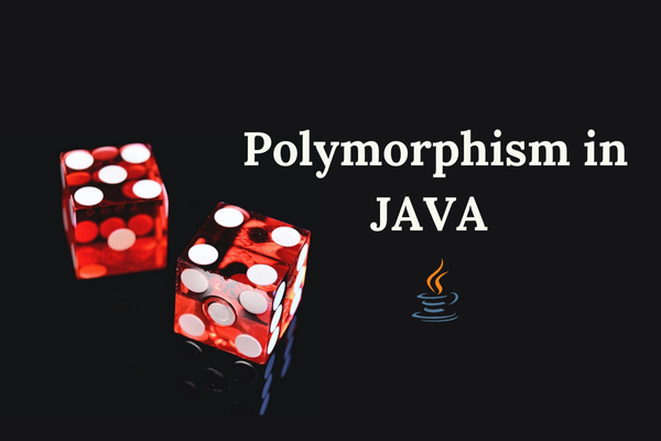 Java OOP Essentials: A Beginner’s Introduction to Object-Oriented ...