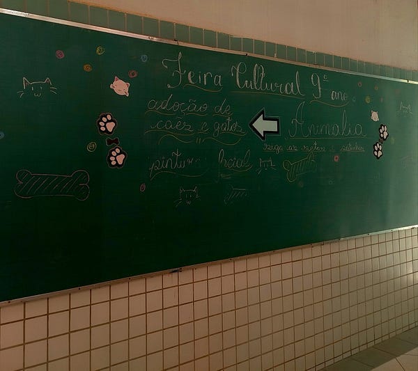 Mil e uma formas de reinventar o bem: protegendo os animais de Bauru