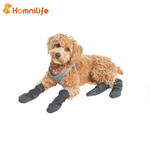 Dog Paw Covers — Stop Dog Paws From Slipping Grayson