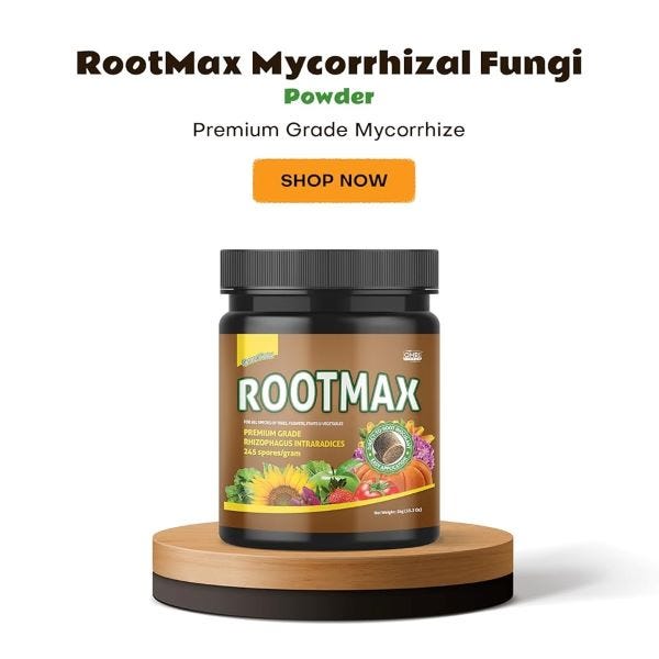 Root Problems Cost Yield — Choose Grow Mate Rootmax Powder Today