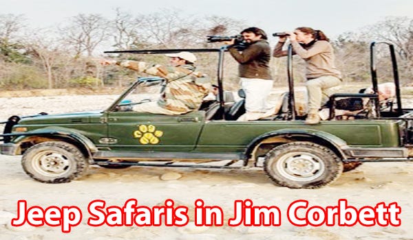 Auto Big Jim Action Jeep Safari für Sammler und Liebhaber, mit OVP. Original
