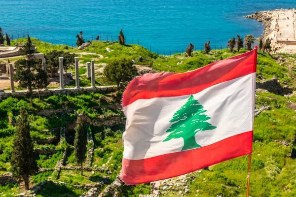 Lebanese Flag Tree