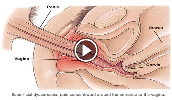 Entire Head In Vagina