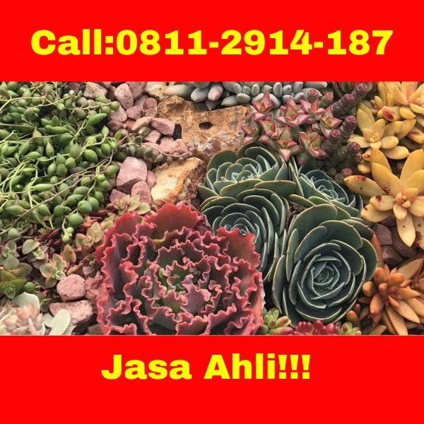 HARGA TERJANGKAU ! CALL! 0811-2914-187 Jasa Desain Taman Depan Rumah