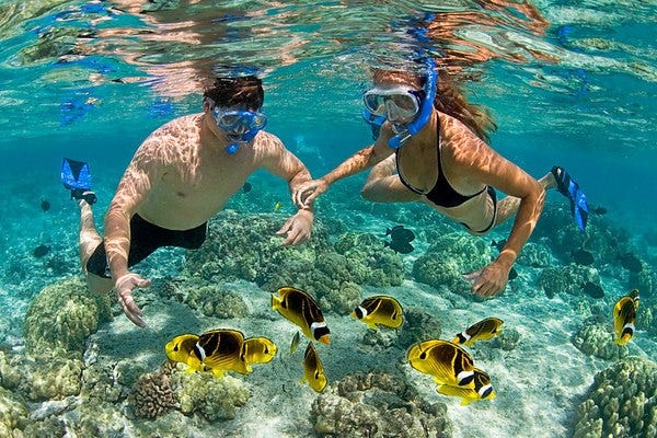 Snorkeling in Zanzibar: How is it and what to expect.