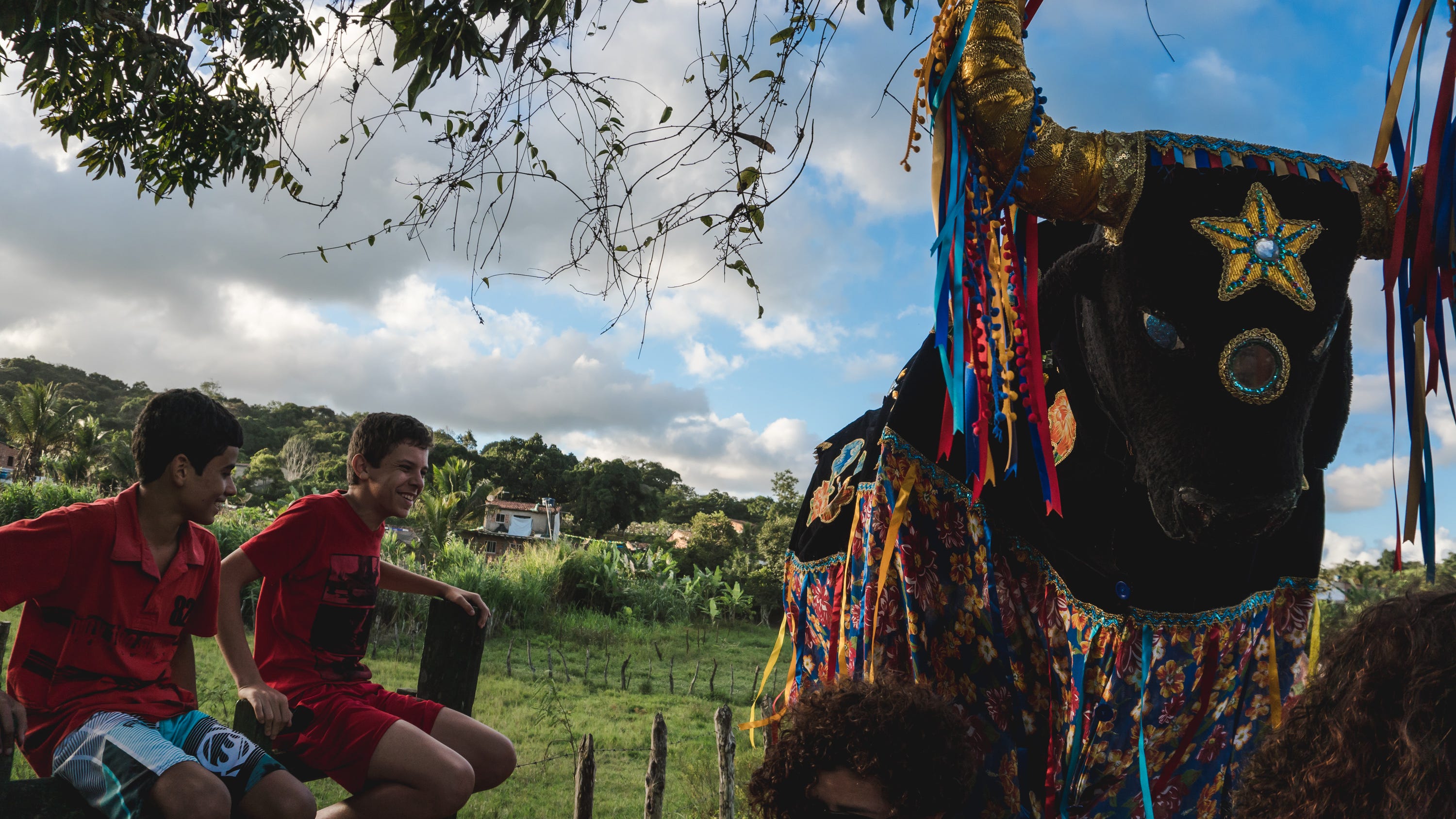 o vento sacode a cabeleira