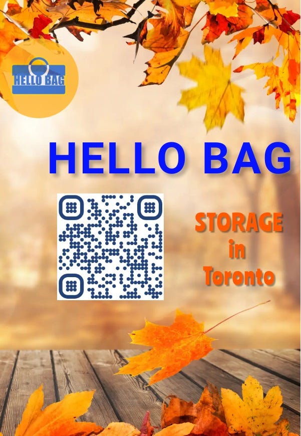 Luggage Storage in Toronto by Pathfriend Medium