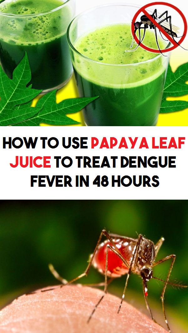 How To Use Papaya Leaf Juice To Treat Dengue Fever In 48 Hours Defne
