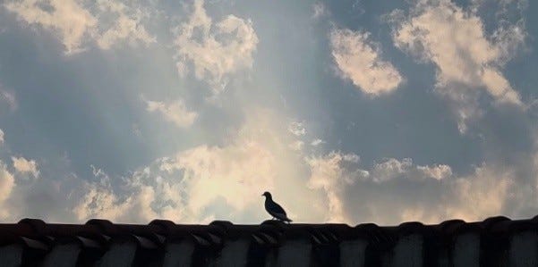 PC — Author’s self clicked pic