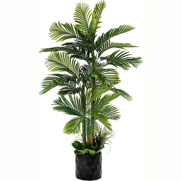 The Green Giants: A Guide to Tall Indoor Plants | by Dildar hussain ...