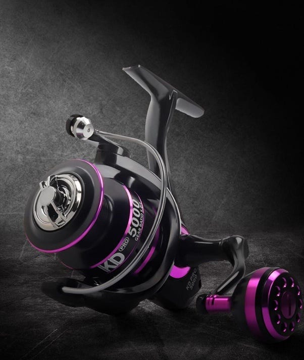 Saltwater Versus Freshwater Fishing Reels by Abdulhasnat Medium